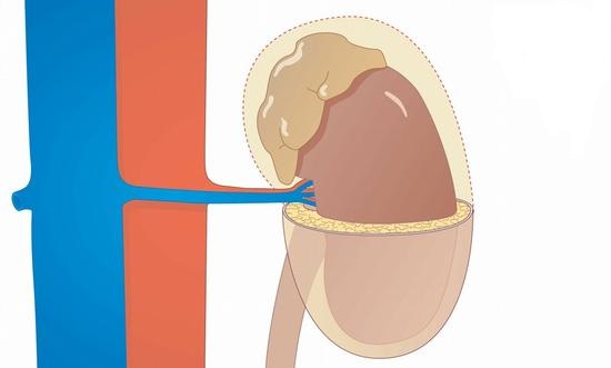 ��������ʮ������